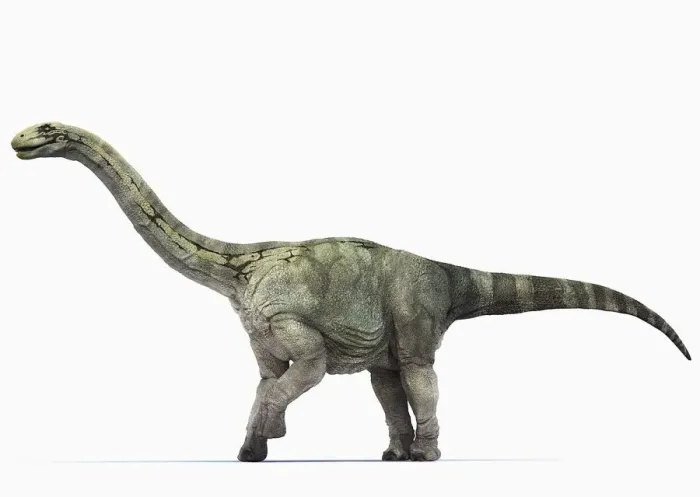 Framed Print : Barapasaurus Side View Print Framed Print : Barapasaurus Side View Print