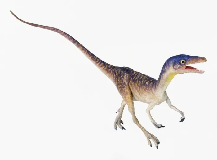 Framed Print : Compsognathus Print Framed Print : Compsognathus Print