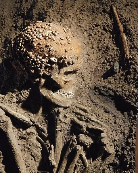 Italy, Liguria Region, Caves of the Balzi Rossi. Cave of the Caviglione, Cro-Magnon type skull with shell headwear