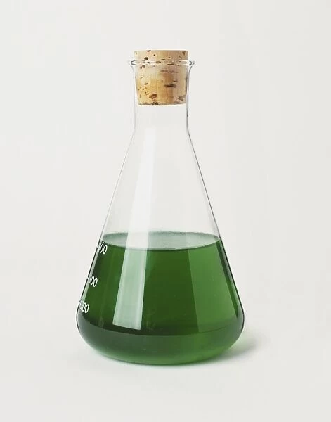 A laboratory beaker filled with green liquid