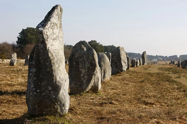 Matenec menhirs in Carnac