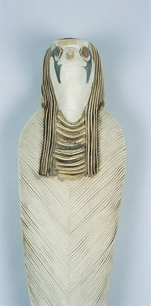 Mummy of a hawk, 1st-2nd century a. d