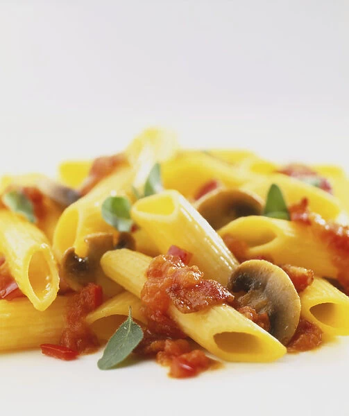 Penne pasta with sauce of finely chopped tomatoes, fried bacon, sliced mushrooms, garnished with sage leaves