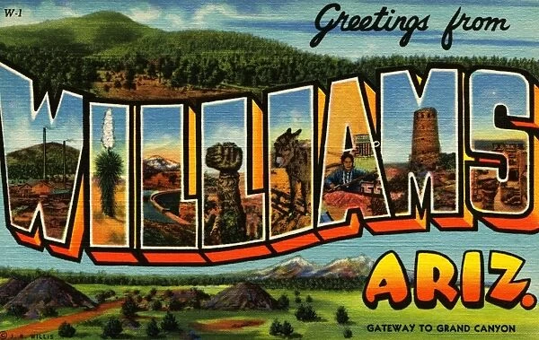 Postcard of Williams, Arizonas. ca. 1940, Greetings from WILLIAMS, ARIZ. GATEWAY TO GRAND CANYON. Located on Highway 66 near its junction with the Grand Canyon Highway, Williams is a picturesque mountain town in the heart of the greatest stand of yellow pine timber in the U. S. Summer nights are always delightfully cool at this altitude of 6, 780 ft. The town derives its name from Bill Williams Mountain, which is in turn named for a famous pioneer of the region. Lumbering is the chief industry, several large mills being located here