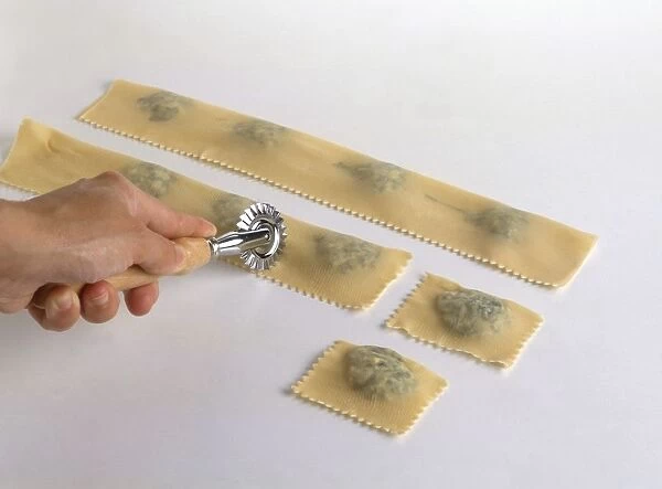 Raw ravioli stuffed with spinach and ricotta, being cut into squares