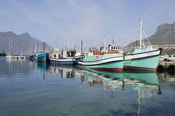 South Africa, Cape Town, fishing boats moored in Hout Bay harbour