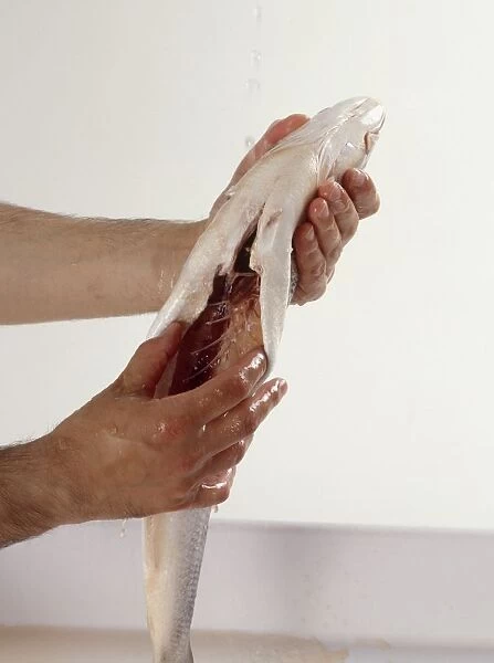Using hands to clean gutted sea bass with water