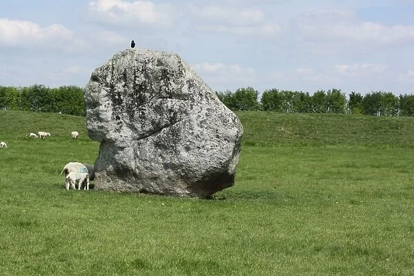 View of Avebury Stones 2013 A. D