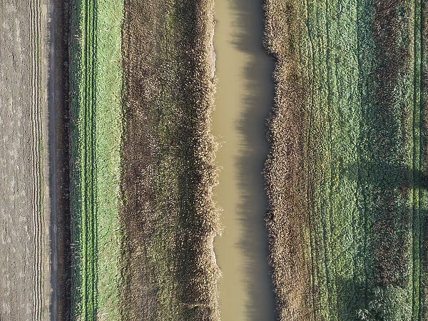 Top view of farmland with an irrigation ditch running through it. In Italian, these artificial channels are called rogge'. The high population density, the millennial agricultural activity
