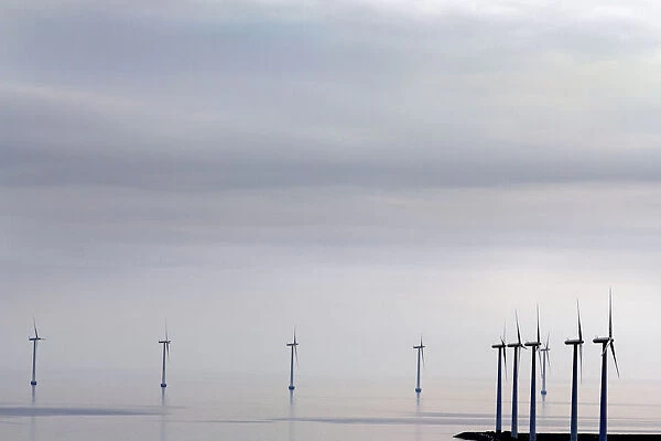Wind turbines in Copenhagen Harbour