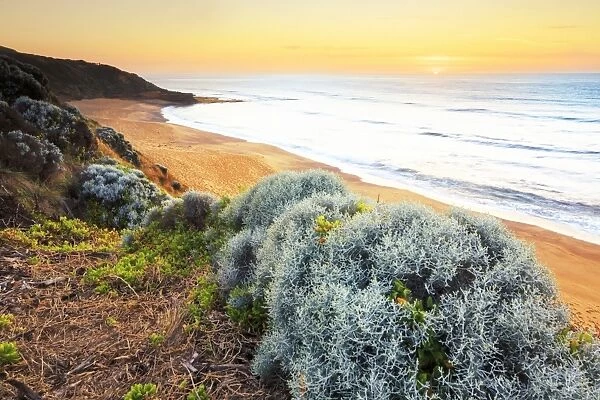 Bells Beach Sunrise. The beautiful and renowned Bells Beach located 100