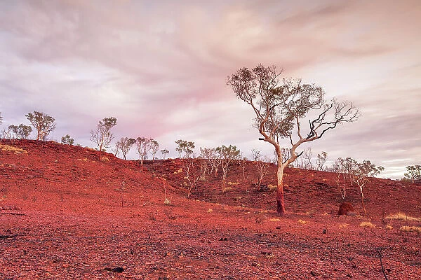 Desert landscape in the Pilbara Western Australia