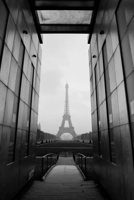Framed Print : Eiffel Tower Print with Wall for Peace Framed Print : Eiffel Tower Print with Wall for Peace
