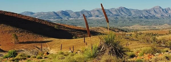 Flinders ranges south Australia