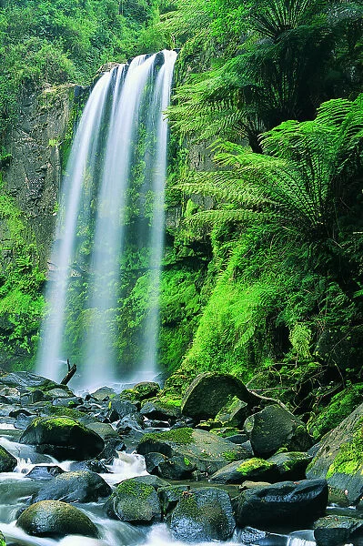 Hopetown Falls, Great Ocean Road, Otway Ranges National Park, Victoria, Australia