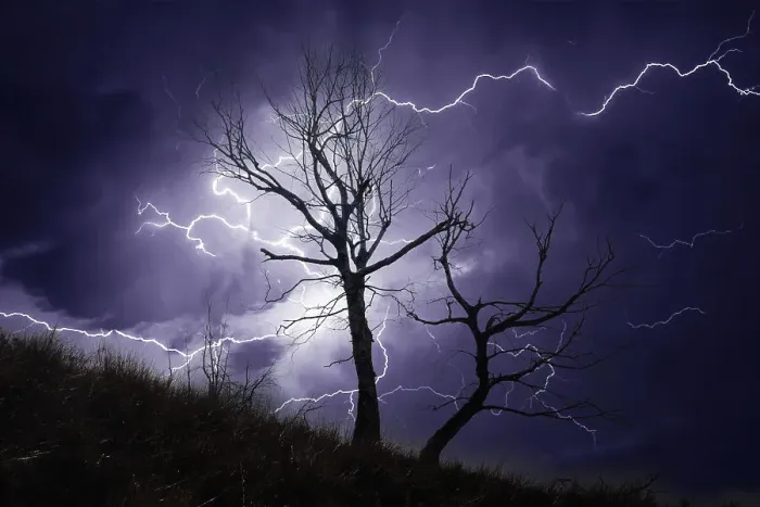 Framed Print : Thunderstorm over a Dead Tree Print Framed Print : Thunderstorm over a Dead Tree Print