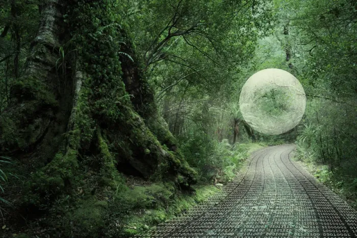 Framed Print : Binary Code Print: Glowing Orb Over Forest Path Framed Print : Binary Code Print: Glowing Orb Over Forest Path