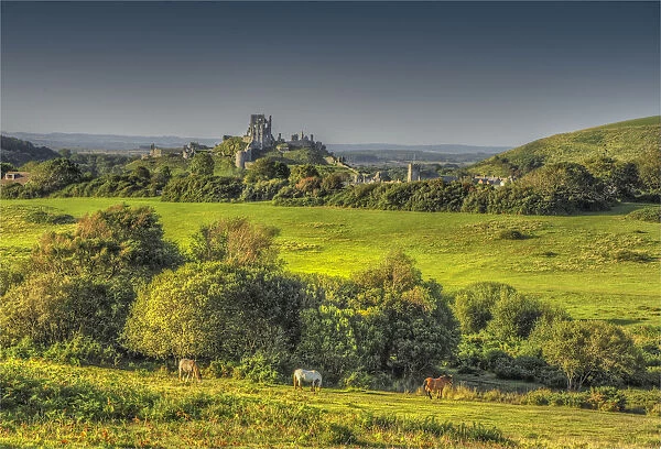 View to Corfe Castle