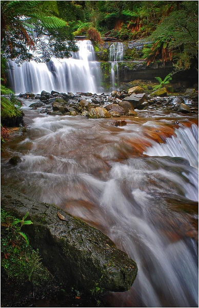 A view of Liffey Falls in Central Tasmania