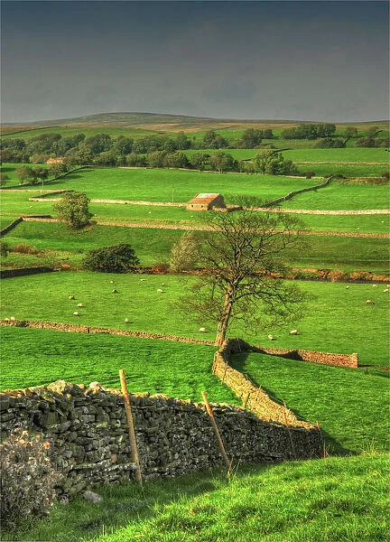 Yorkshire Dales countryside
