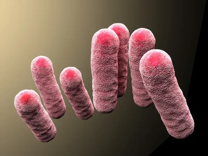 Framed Print : Enterobacteriaceae Bacteria 3D Rendering Print Framed Print : Enterobacteriaceae Bacteria 3D Rendering Print