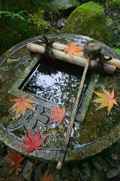 Ablution basin at temple, Kyoto, Honshu, Japan
