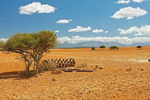 absence, agricultural equipment, agricultural machinery, animal themes, arid, barren