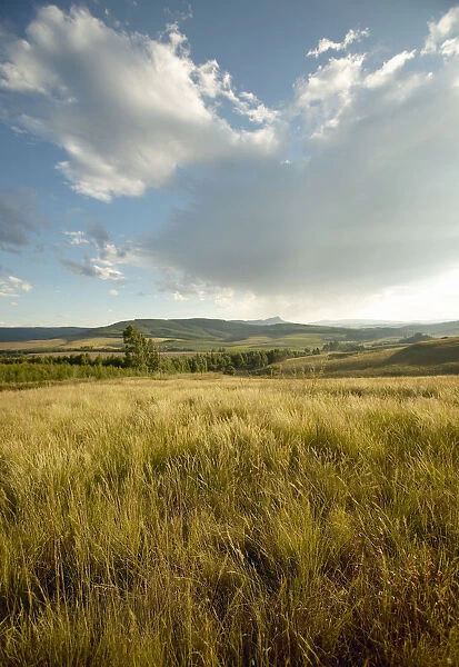 Africa, Cloud, Color Image, Day, Dry, Field, Grass, Horizon Over Land, KwaZulu-Natal