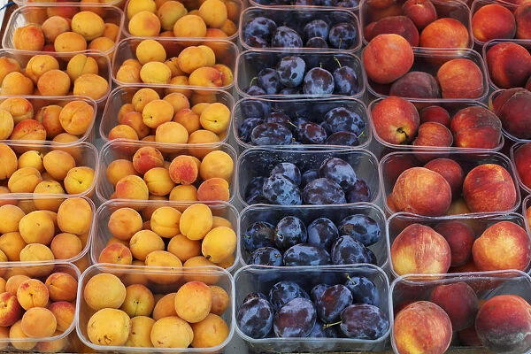 Apricot, plums and peaches in plastic cups, Wachau, Lower Austria, Austria, Europe