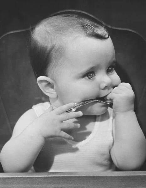 Baby boy (6-9 months) sitting in highchair, biting spoon (B&W)