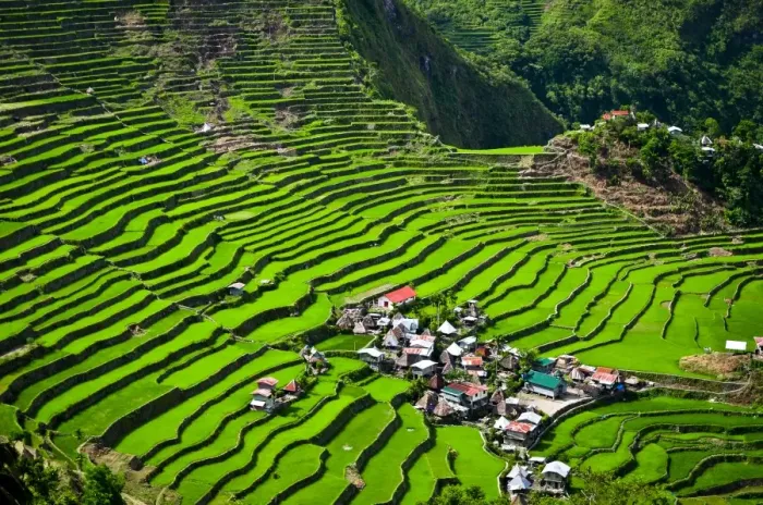 Framed Print : Batad Rice Terraces Print Framed Print : Batad Rice Terraces Print