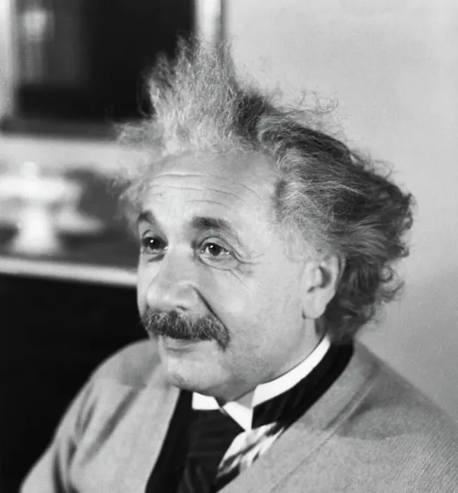 Framed Print : Albert Einstein Print Framed Print : Albert Einstein Print