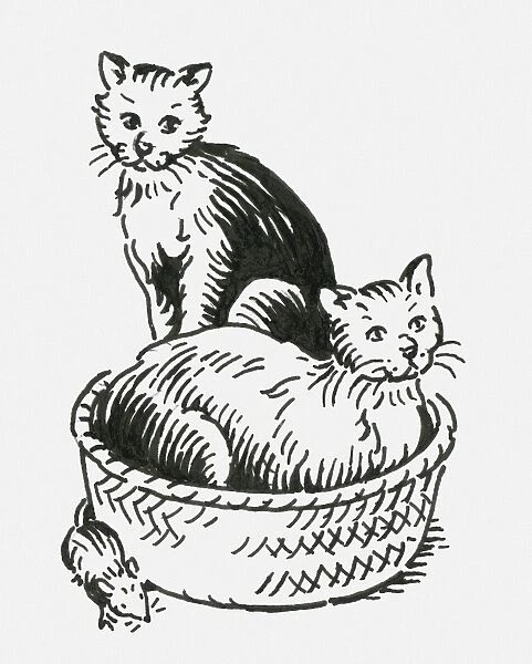 Black and white digital illustration of two cats oblivious to mouse neat pet bed