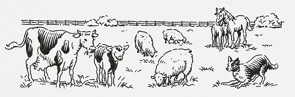 Black and white digital illustration of cow and calf, horse and foal, sheep and sheepdog in field