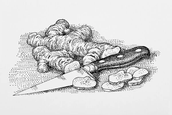 Black and white illustration of of fresh ginger and kitchen knife