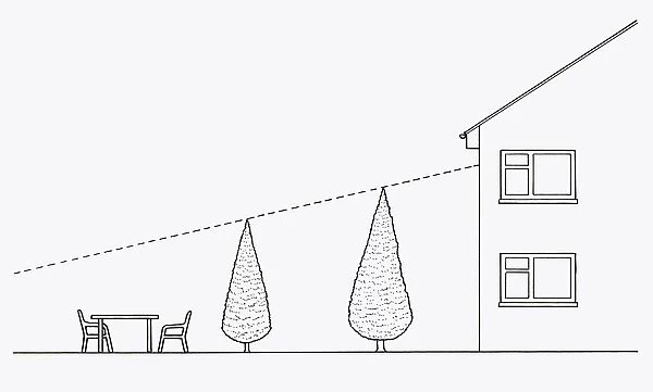 Black and white illustration of showing how to use trees for shade and privacy in garden
