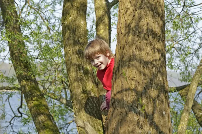 Framed Print : Boy climbing a tree Print Framed Print : Boy climbing a tree Print