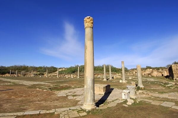 Column with corinthian capital, Ruins of the Roman City Leptis Magna, Libya