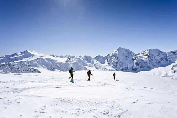 Cross-country skiers during the descent from Hintere Schoentaufspitze Mountain, overlooking Zufallspitze, Cevedale, Koenigsspitze and Zebru Mountains, Solda, Alto Adige, Italy, Europe