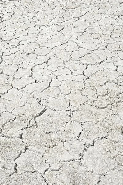 Desiccation cracks, pattern, of a dried up salt lake, Putre, Arica and Parinacota Region, Chile
