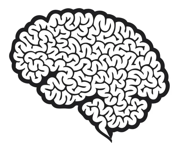 Digital cartoon of human brain showing cerebrum