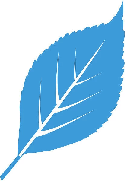 Digital illustration of blue leaf on white background