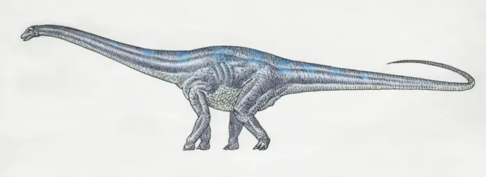 Framed Print : Diplodocus Side View Print