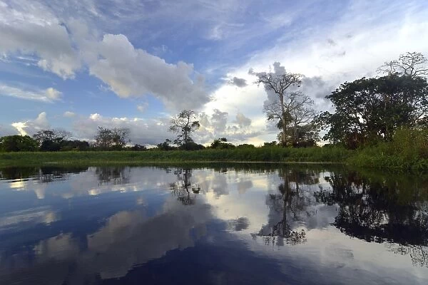 Dusk at a lake-like widened part of the Amazon or Rio Solimoes, Mamiraua Sustainable Development Reserve, Manaus, Amazonas, Brazil