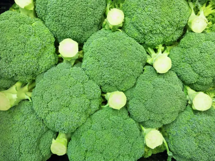 Framed Print : Fresh Broccoli Print Framed Print : Fresh Broccoli Print