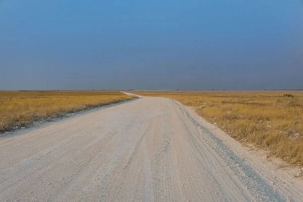 Gravel road in Etosha National Park, Namibia