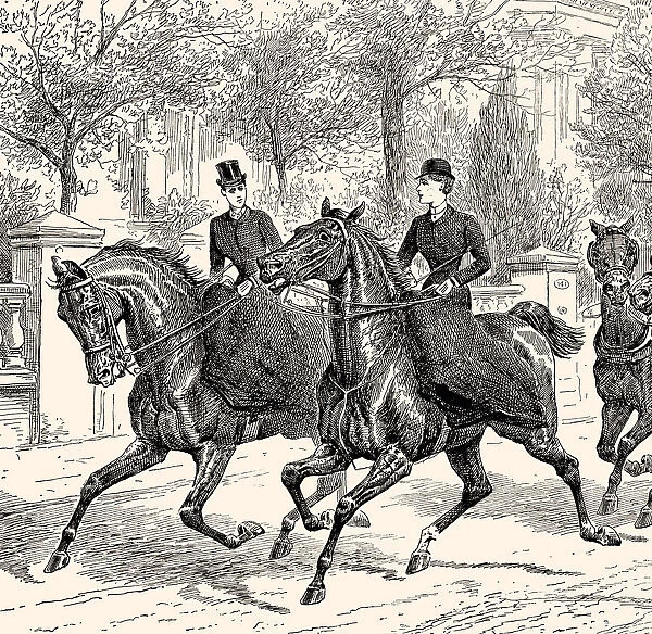HORSEBACK RIDING IN 1887 (XXXL)