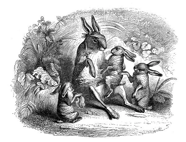 Humanized animals illustrations: Hare family