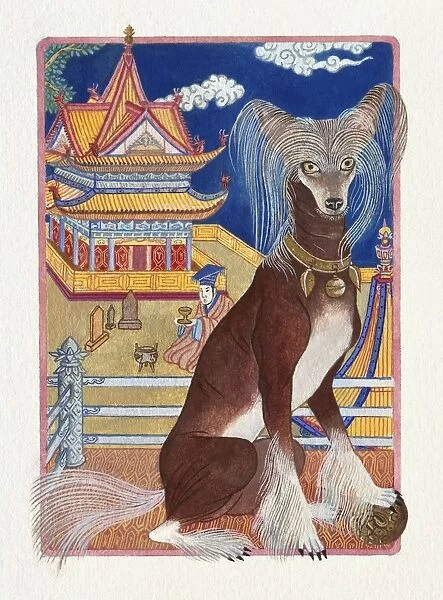 Illustration of Family Dog, representing Chinese Year Of The Dog