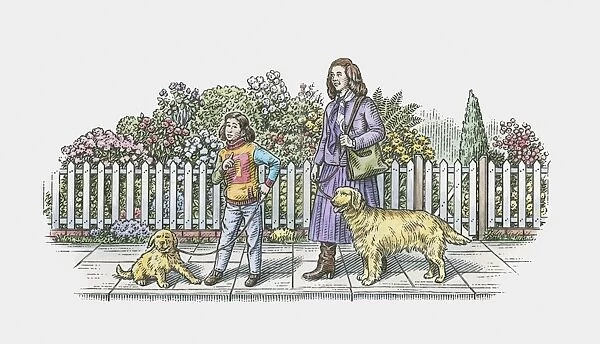 Illustration of mother and daughter walking adult dog and puppy on pavement